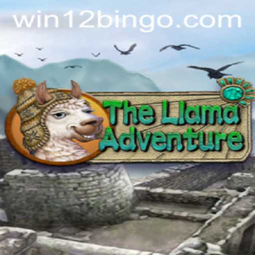 TheLlamaAdventure: Discover the Thrills of 12Bingo
