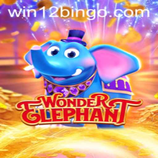 Exploring the Enchanting World of WonderElephant: A Guide to 12Bingo
